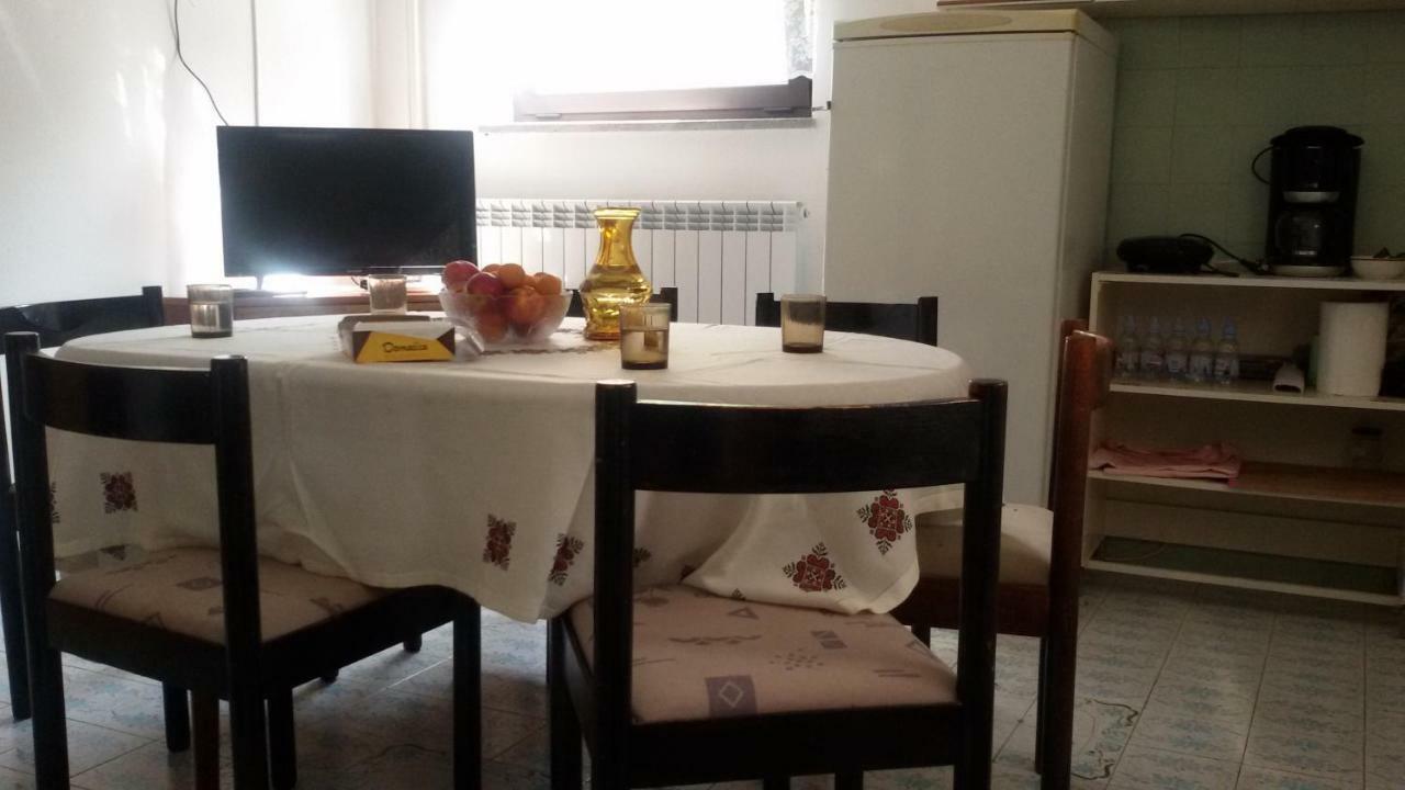 Milada Vrvilo