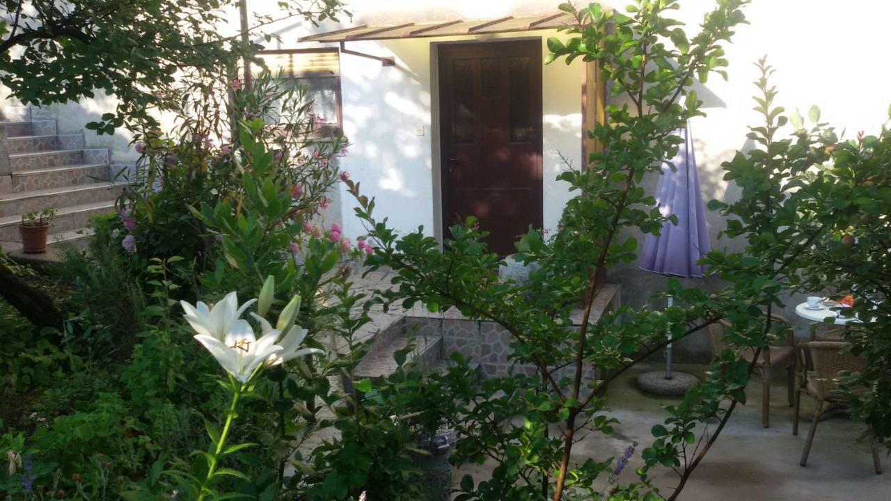 Apartment Milada Vrvilo